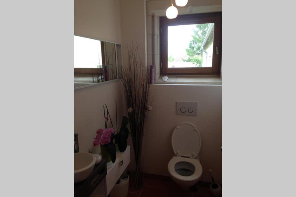 Maison De Caractere Cosy Villa Sambin Екстериор снимка